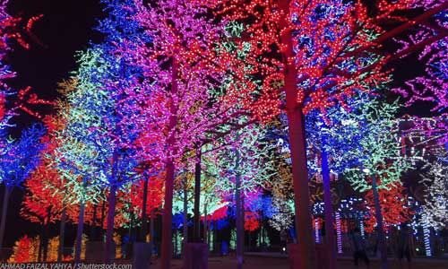 Chicago Holiday Gifts